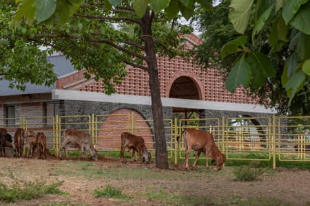 Gaughar Animal Husbandry